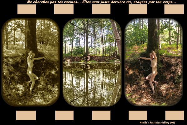 Obiterdictum, Pasolinian Gallery, Roots, Honni Soit Qui Mal Y Pense