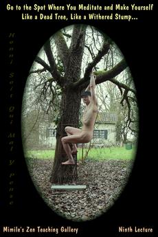 Obiterdictum, Zen Gallery, Right on the spot, Honni Soit Qui Mal Y Pense