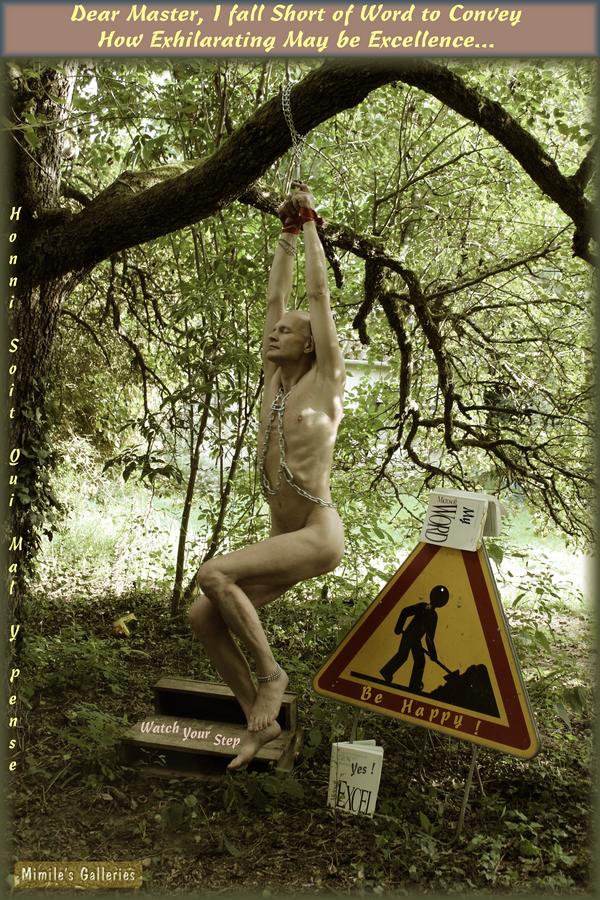 Obiterdictum, Progress Gallery, Mon cher Matre, Dear Master, Honni Soit Qui Mal Y Pense